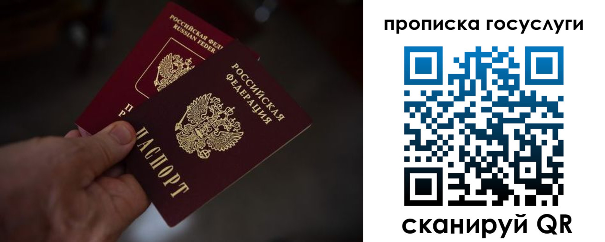 прописка ребенка в Камчатской области